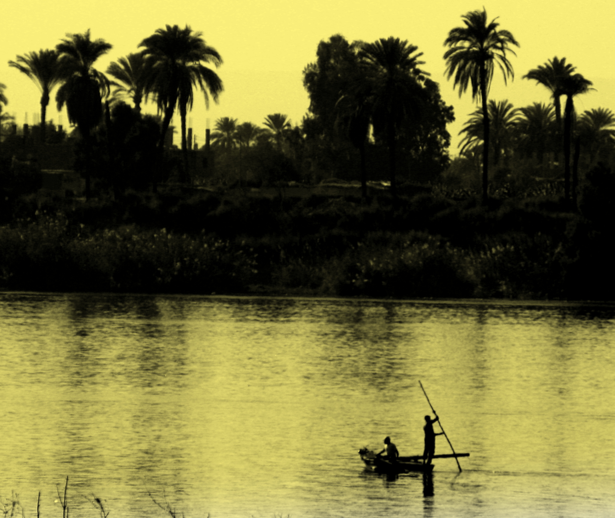 Boaters on the Nile with palm trees at the back