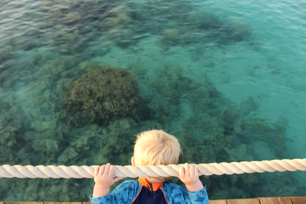 El Gouna - child looking at coral