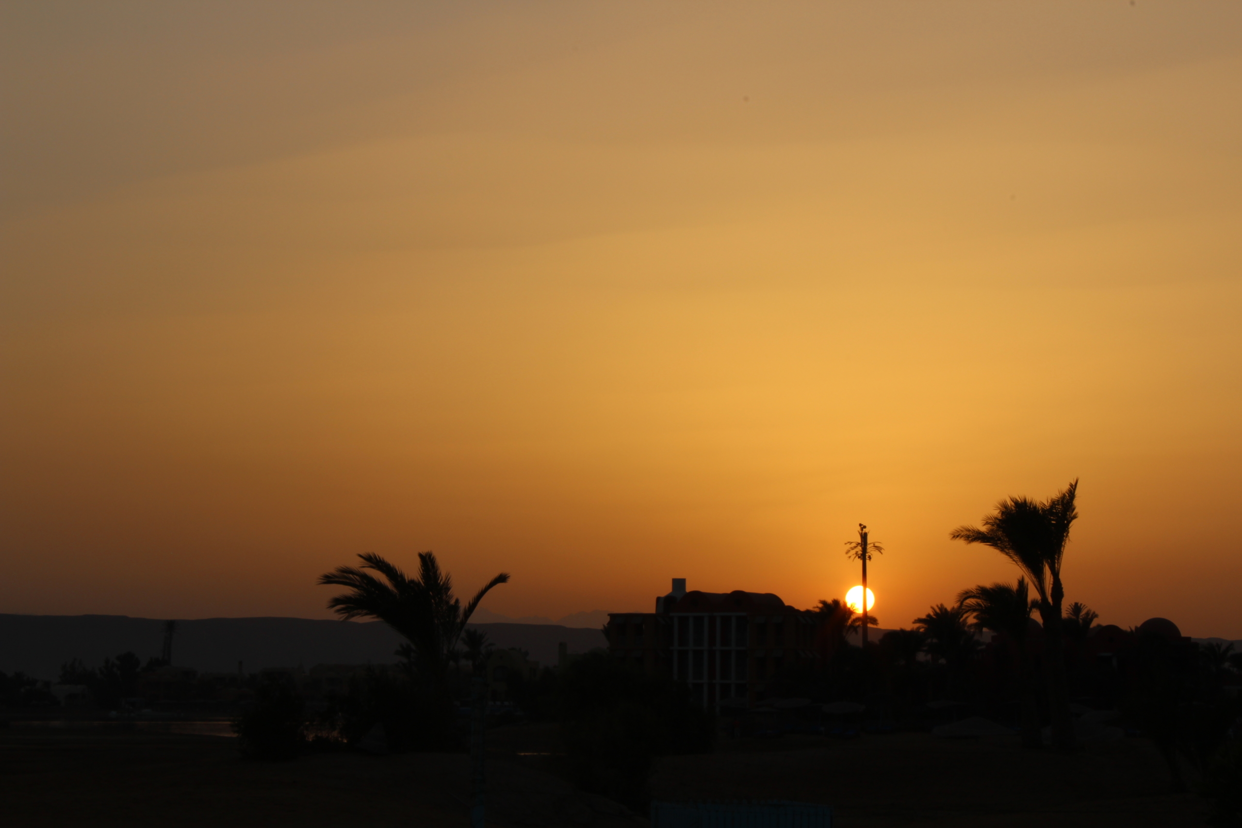 El Gouna sunset with palm trees silhouetted