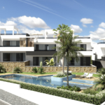 The Palm Collection